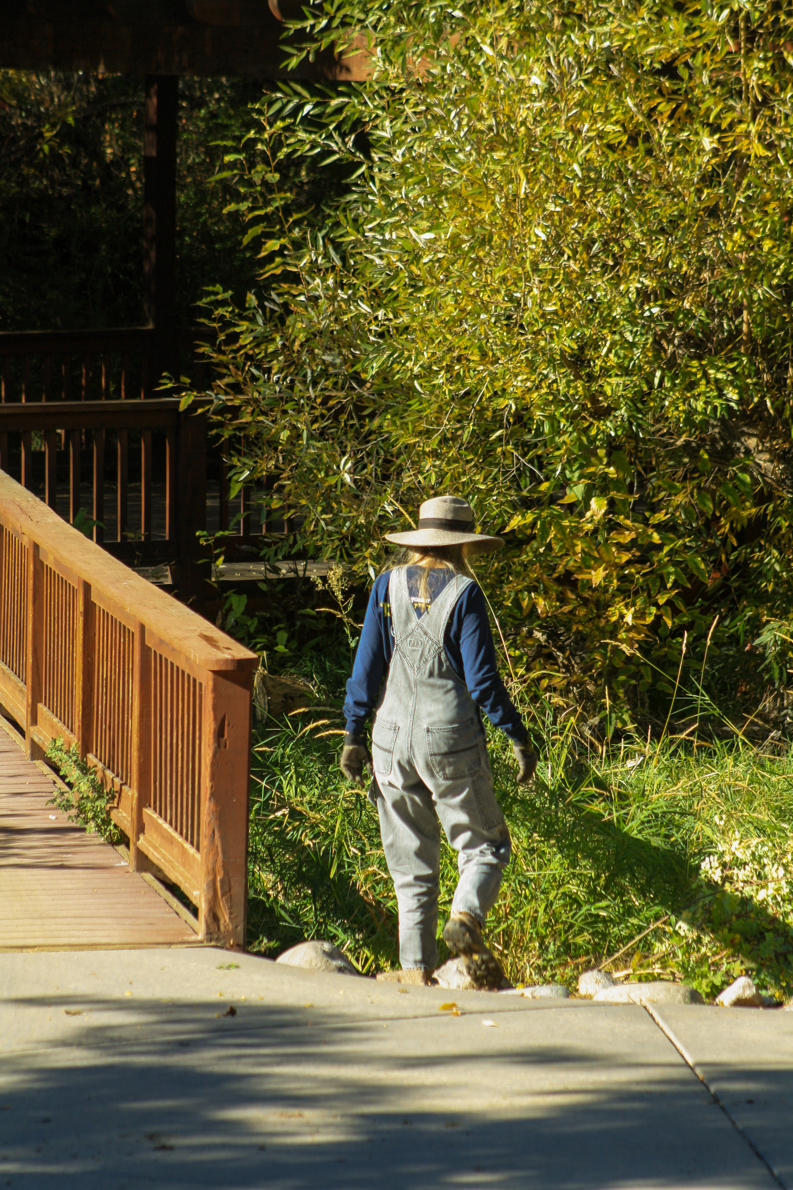 Gardening Volunteer Image